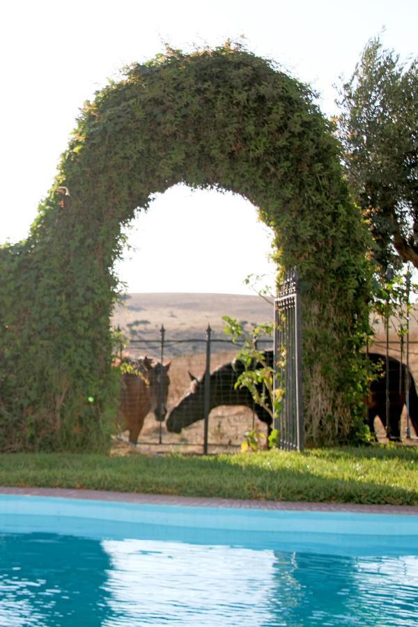 Holiday home Monte Da Contenda *